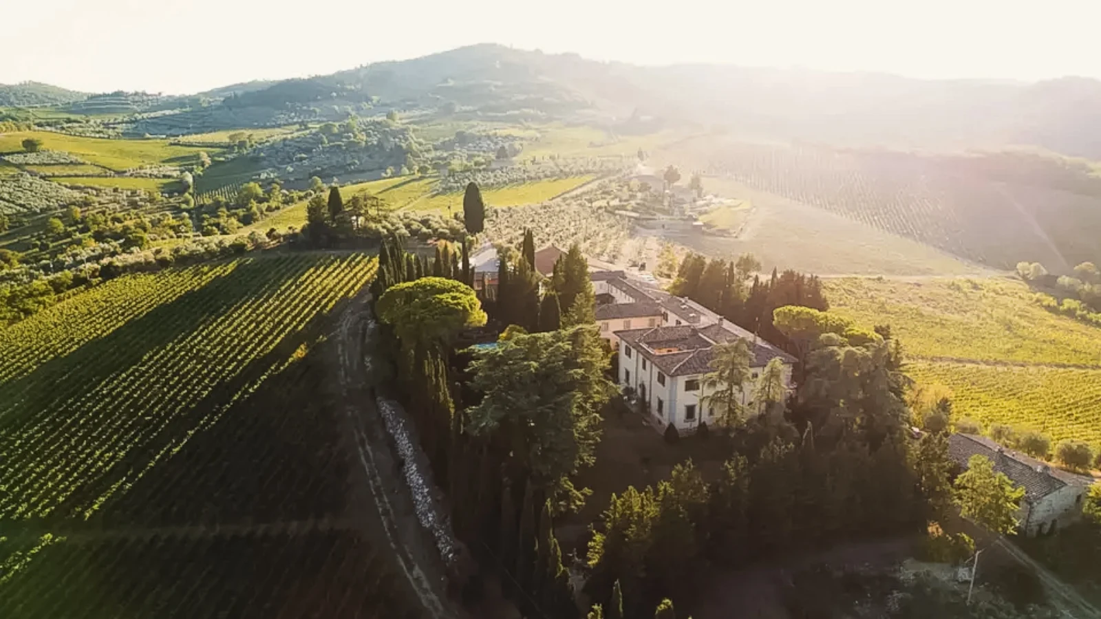 Weinberge und Hügellandschaft der Toskana im Abendlicht, Kulisse für eine Destination Wedding in Italien